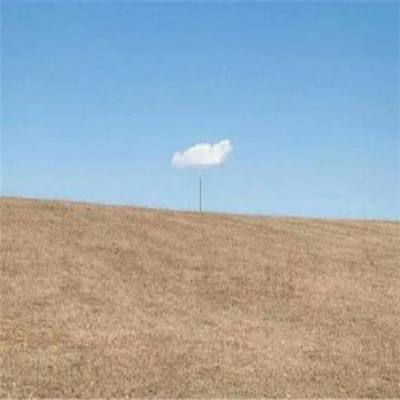 必博体育平台app下载